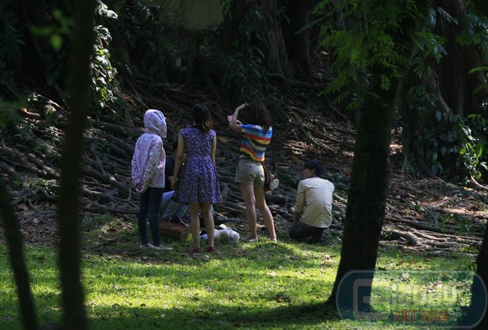 Giới trẻ chống nắng bằng cách vào công viên